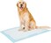 Coodipet Puppy Pads, 90 x 60 cm Large Puppy Training Pads , Super Absorbent Disposable Dog Pads, Leak-Proof Pet Pads Incontinence Dog Pee Pad for Toilet, Training - 25 Pack