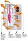 Oxy-Gen Powered Wall Mounted, Battery Operated Automatic Fragrance Dispenser
