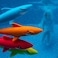 Prime Time Prime Time Toys Sharkpedo Underwater Glider 4-Pack &ndash; Shark-Shaped Torpedo Dive Toys for Pool &amp; Water Play, Kids Dive &amp; Swim Game Torpedoes (4 Pieces)