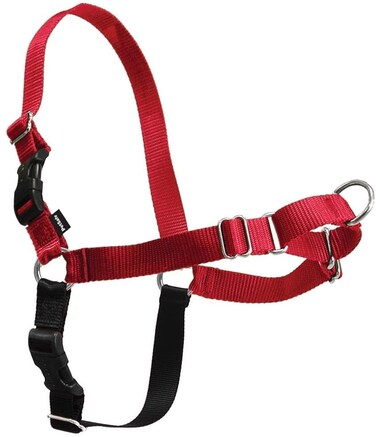 PET SAFE EASY WALK HARNESS EXTRA LARGE RED ROHS