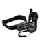 Pet Safe Big Dog Remote Trainer