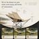 AUTO FAMILY Portable Folding Camping Lounge Chair &ndash; Lightweight Reclining Outdoor Chaise Lounger with Adjustable Backrest   Compact Beach Chair for Camping (Black)