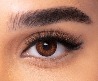 FRESH LOOK MONTHLY LENS CL Power (0.00) Brown