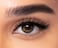 FRESH LOOK MONTHLY LENS CL Power (0.00) Green