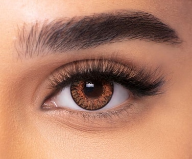 FRESH LOOK MONTHLY LENS CL Power (0.00) Honey