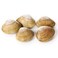 Fresh Clams