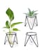 SWIUKPHE Glass Plant Terrarium with Metal Stand, Air Plants Holders Hydroponic Plant Vases Desktop Bulb Glass Vase for Indoor Plants Home Garden Office Decoration, Black, 1PCS