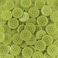 15mm Resin Buttons - 1400 Pieces, Multicolored for Sewing, Crafts, and DIY Projects