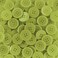 15mm Resin Buttons - 1400 Pieces, Multicolored for Sewing, Crafts, and DIY Projects