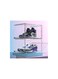 3 pack Shoe Storage Box  Clear Plastic Stackable, Drop Front Shoe Box with Clear Door, Shoe Organizer and Shoe Containers For Sneaker Display,Fit up to  Size 12