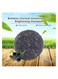 2 pcs Natural Organic Bamboo Charcoal Solid Hair Shampoo Bar Vegan Solid Hair Darkening Shampoo Bar Natural Organic Conditioner