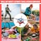 Portable Camping Gas Stove for Hiking, Picnic, and Outdoor Cooking &ndash; Mini Butane Burner with Folding Design, Compact Furnace for Camping, Travel, and Emergency Use
