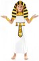 Egyptian Costume For Boy's, Fancy Dress
