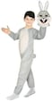 Fancy Land Rabbit Costume (2-3 Years, Silver)