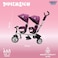 Lovely Baby 2-Seater Tricycle For Kids Lb 525Hc, Double Ride Trike, Twin Baby Carrier with Canopy, Rear Basket, Bell, Push Handle, Safe Toddler Riding Pedal Trike For Children Age 1-3 Years (Purple)