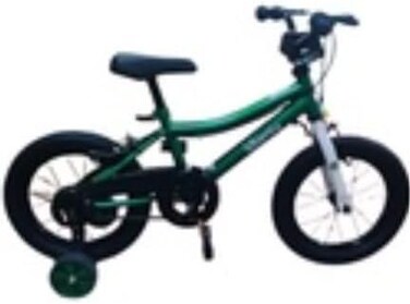 Colorland Whimsy Classic 16-Inch Bicycle For Kids - Green Bike with Training Wheels, Basket &amp; Bell , Stylish Pedal Cycle For Boys and Girls Ages
