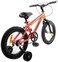 Colorland - Whimsy Classic Bicycle 12 Inch