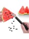 Watermelon Seed Remover Tool - Stainless Steel Watermelon Cutter and Fruit Slicer