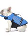 Petglad Dog Life Jacket, Wings Dog Life Vest with Chin Float Rescue Handle for Small Medium Large Dogs, Adjustable High Visibility Flotation Pet Safety Swim Vest for Swimming Boating (Blue, L)