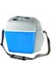 Car Portable Mini Fridge with 12V DC 7.5 L Car fridge Portable Refrigerator Freezer Fridge Coole