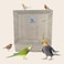 Bird Cage, Parrot cage, Food Box, Bird Metal Cage with Plastic base, Birds Village, entertaining cage, Birds House, Indoor use, Easy to Assemble, White color metal bars, 80 cm height