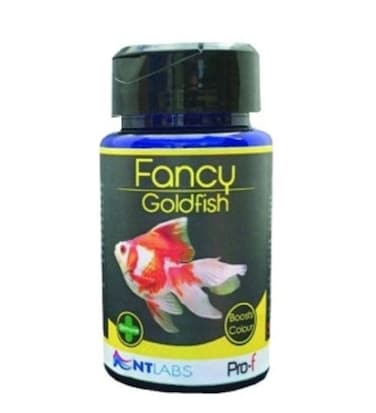 NT Labs Pro-f Fancy Goldfish Food 50G
