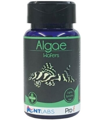 NT Labs Algae Wafers Fish Food 110G