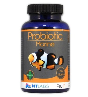 NT Labs Pro-f Probiotic Marine Fish Food 45G
