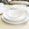 Melrich 10 Pcs Gold line Opalware Dinner Set 3 Dinner Plate, 3 Dessert Plate, 2 Bowl, 1 Serving Bowl, 1 Serving Plate Dishwasher Microwave Safe Heat Scratch Resistance