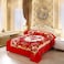 STARLIFE 2 Ply Raschel Premium Quality Blanket 220CM &times; 240CM 11 LBS, 100% SPUN YARN Virgin Polyester Materials, SL-BL5512