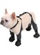 Small Dog Shoes,Waterproof Dog Boots with Suspenders,Pet Paw Protector for Small Dogs Puppy,Dirty-Proof &amp; Anti-Fall Dog Outdoor Walking Running Hiking Booties with Adjustable Straps (Black, XL)