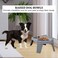 Raised dog bowl with Durable PP material, 2 Stainless steel food bowls, Non-slip bottom, and Detachable legs, Ergonomic pet feeding station for small-sized dogs, Easy assembly, 35 cm (Grey)