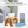 Pet water dispenser station, Automatic pet water dispenser with Transparent water tank, Gravity design, and Anti-slip bottom, Ideal for Cats &amp; Dogs, Easy to assemble, 42 cm (Blue)