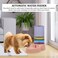 Pet water dispenser station, Automatic pet water dispenser with Transparent water tank, Gravity design, and Anti-slip bottom, Ideal for Cats &amp; Dogs, Easy to assemble, 42 cm (Pink)