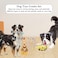 Dog chewing toys for Aggressive chewers, Durable calming odorless chew toys with Chicken, Dinosaur, and Chew ropes, Ideal for dental health and Interactive play for all dog breeds (4Pcs)
