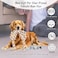 Dog chewing toys for Aggressive chewers, Durable calming odorless chew toys with Chicken, Dinosaur, and Chew ropes, Ideal for dental health and Interactive play for all dog breeds (4Pcs)