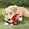 Squeaky Plush parrot toy for Teeth cleaning and Stress relief, Durable chew-resistant dog toy with Parrot theme and Polyester materials, Suitable for Aggressive chewers (Red)