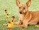 Squeaky Plush chicken chew toy for Teeth cleaning and Stress relief, Durable chew-resistant dog toy with a Chicken theme and Polyester materials, Suitable for Aggressive chewers (Yellow)