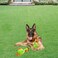 Squeaky Plush chicken chew toy for Teeth cleaning and Stress relief, Durable chew-resistant dog toy with a Chicken theme and Polyester materials, Suitable for Aggressive chewers (Green)