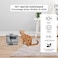 1.6L Automatic pet water fountain for cats and small dogs, USB-Powered Cat water fountain with Water level window, Filtration system, and Ultra quiet water fountain, Easy to clean, 16 cm (Green)