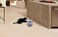 USB-Powered pet water fountain, Automatic cat and dog drinking dispenser with Adjustable water flow, Transparent water tank, Filtration system, and Ultra-quiet water pump 2.5L (22 cm)