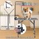 Foldable Pet Grooming Table with Non-slip surface, Folding crossbeams, and Portable Beauty station for small to medium pets, Space saving design, Storage Basket, Adjustable Arm &amp; Noose, 152 cm (Black)