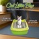 Large Cat Litter Pan for all size cats, Durable plastic and Removable design, 56cm Cat litter box with Scoop, Enclosed design, High fence and Anti-splash, Pet waste box with Easy to clean (Green)