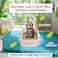Cat Litter Pan for Small cats, Durable plastic and Removable design, 38 cm Cat litter box with Scoop, Enclosed design, High fence and Anti-splash, Pet waste box with Easy to clean (Pink)