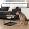 Elevated dog bowl stand for Medium to Large dogs, Heavy-duty adjustable pet feeding station with 2 Stainless steel bowls, Name Tag, Bell, Pen, and Leak-proof mat, Easy to assemble, 41 cm (Black)