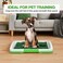 Dog potty training kit for Indoor/Outdoor use, Artificial grass puppy toilet with 3-layer design, Odor-resistant mat, Grid tray, and Base tray, Ideal for small dogs, Easy to clean, 47 cm (Green)