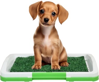 Dog potty training kit for Indoor/Outdoor use, Artificial grass puppy toilet with 3-layer design, Odor-resistant mat, Grid tray, and Base tray, Ideal for small dogs, Easy to clean, 47 cm (Green)