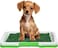 Dog potty training kit for Indoor/Outdoor use, Artificial grass puppy toilet with 3-layer design, Odor-resistant mat, Grid tray, and Base tray, Ideal for small dogs, Easy to clean, 47 cm (Green)
