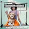 Heavy-Duty Pet Grooming Table for All size breeds, 190 cm Durable Z-lift design, Drying table with Anti-slip surface, Adjustable Arm &amp; Clamp, Foot lift, Easy to clean, and Adjustable feet (White)