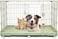 Portable Cat Cage with Secure Lock, Wheels, and Heavy-Duty Metal Wire, 98 Pet Cage with Wide Front Door, All size of pets, Pet Kennel, Easy Assemble &amp; Easy to Clean, Indoor-Outdoor Cage (Green)